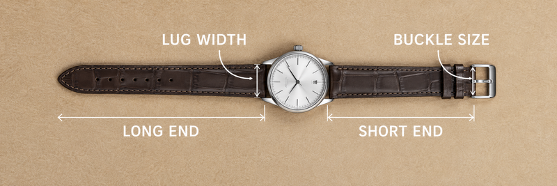 A strap laid flat with the lug width, buckle size, long end and short end labelled