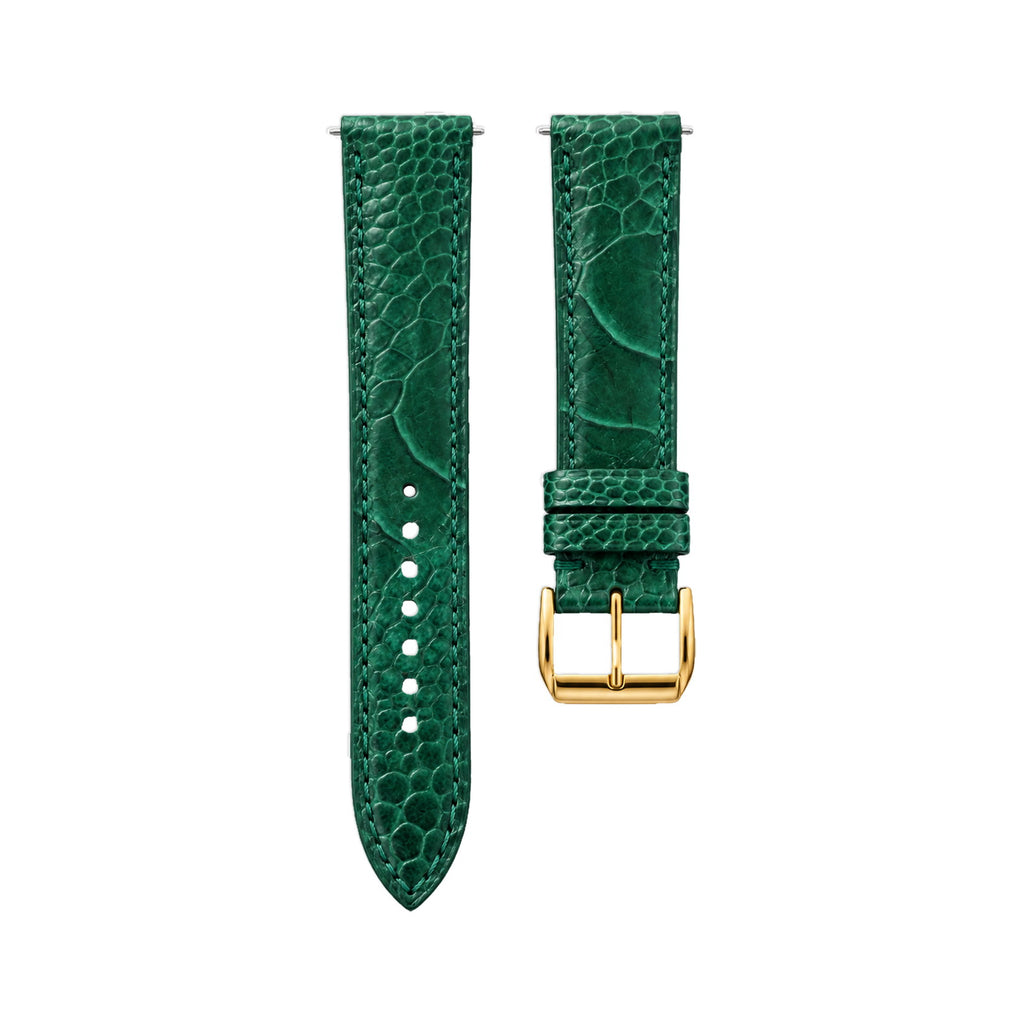 Dark Green Ostrich Leg Leather Watch Strap — studio photo